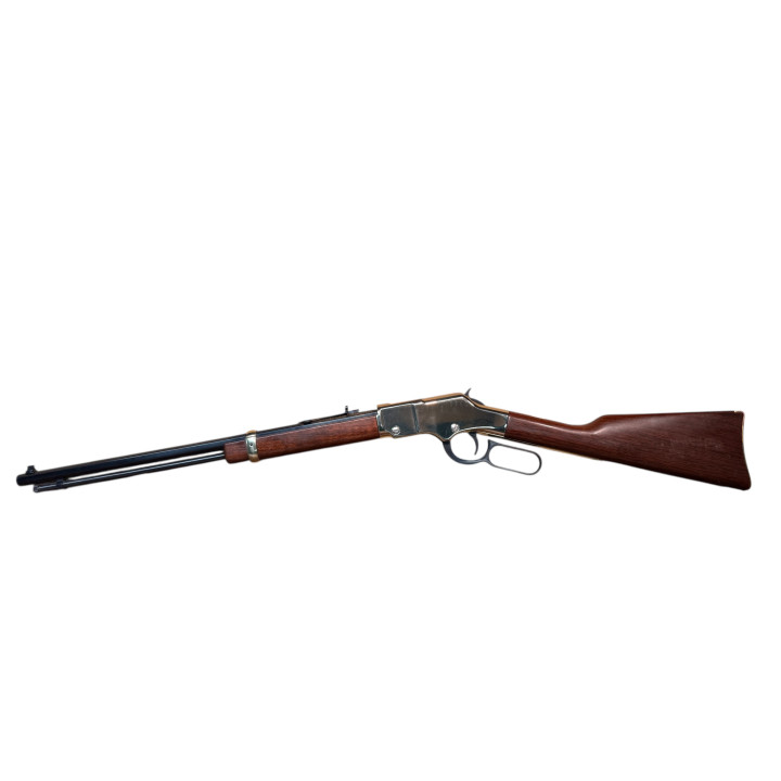 Henry Golden Boy 22 LR