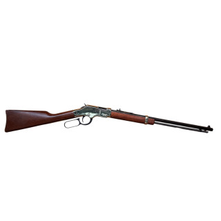 Henry Golden Boy 22 LR