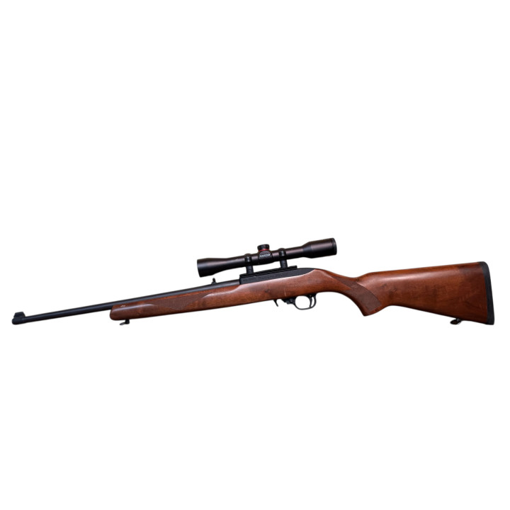 Ruger 10-22 22LR with scope