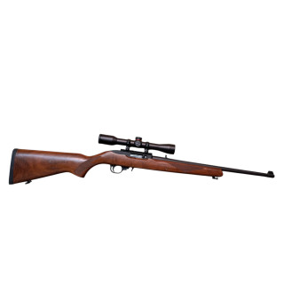 Ruger 10-22 22LR with scope