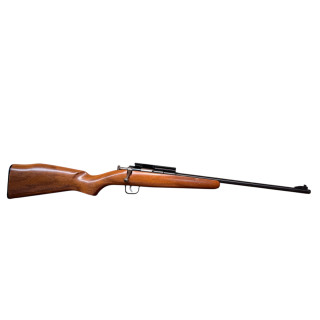 Chipmunk kids 22LR