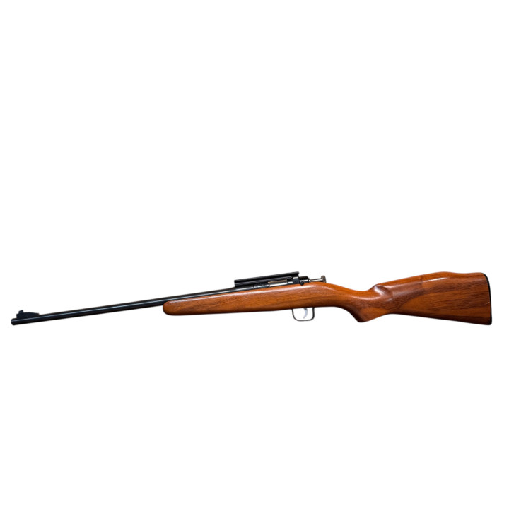 Chipmunk kids 22LR