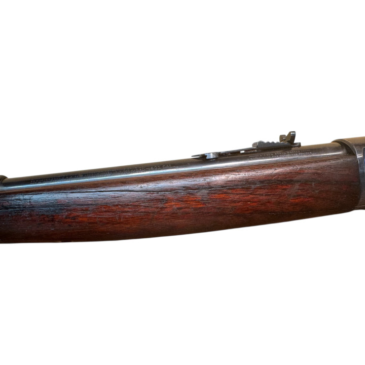 Winchester 1910 SL