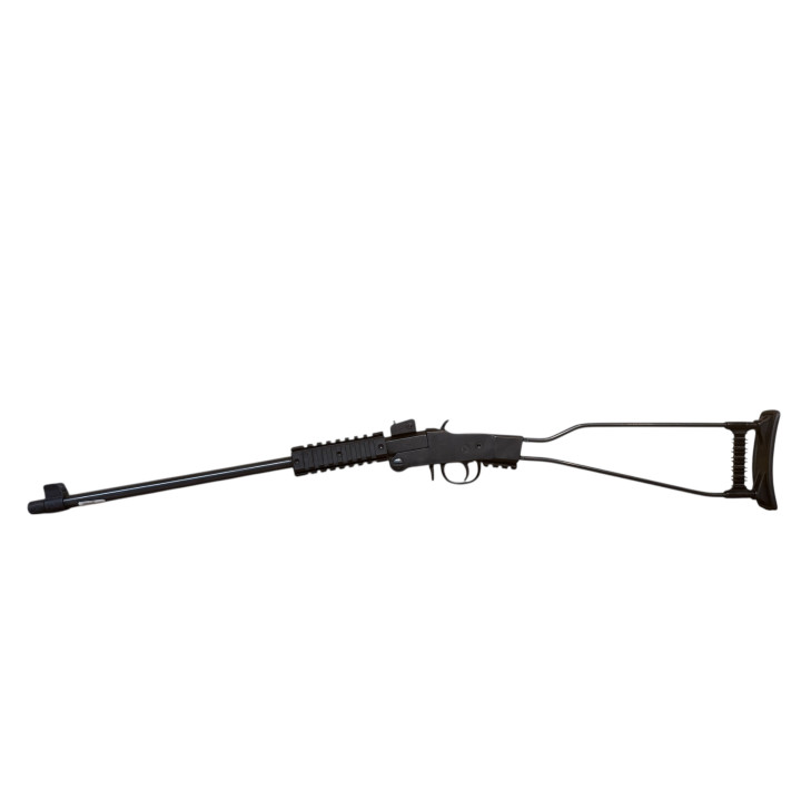 Chiappa Little Badger 22 LR