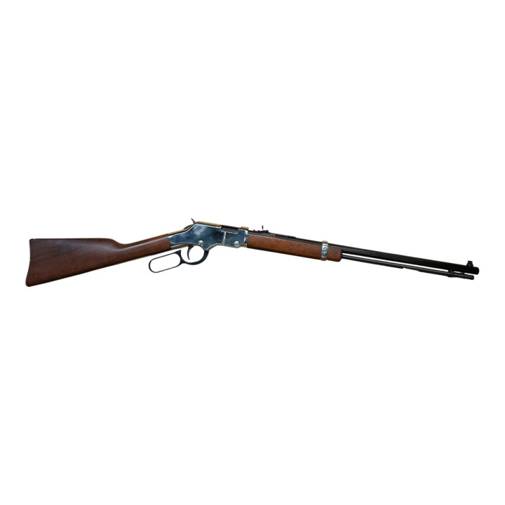 Henry Silver Boy 22 WMR