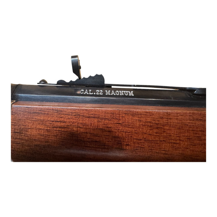 Henry Silver Boy 22 WMR