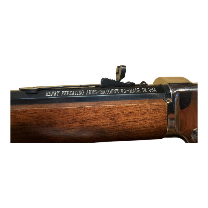 Henry Silver Boy 22 WMR