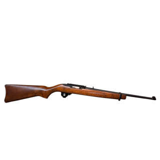 Ruger 10-22 22LR