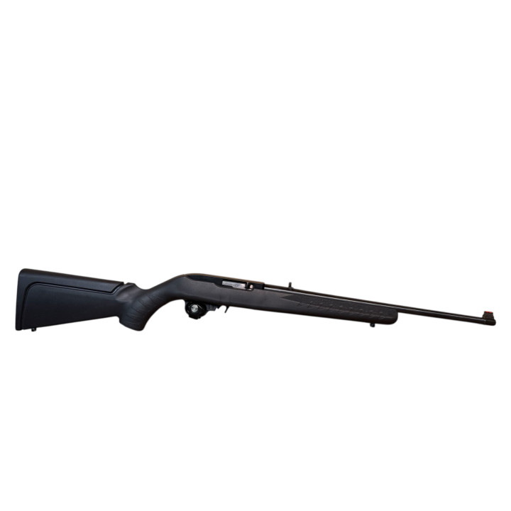 Ruger 10-22 22LR