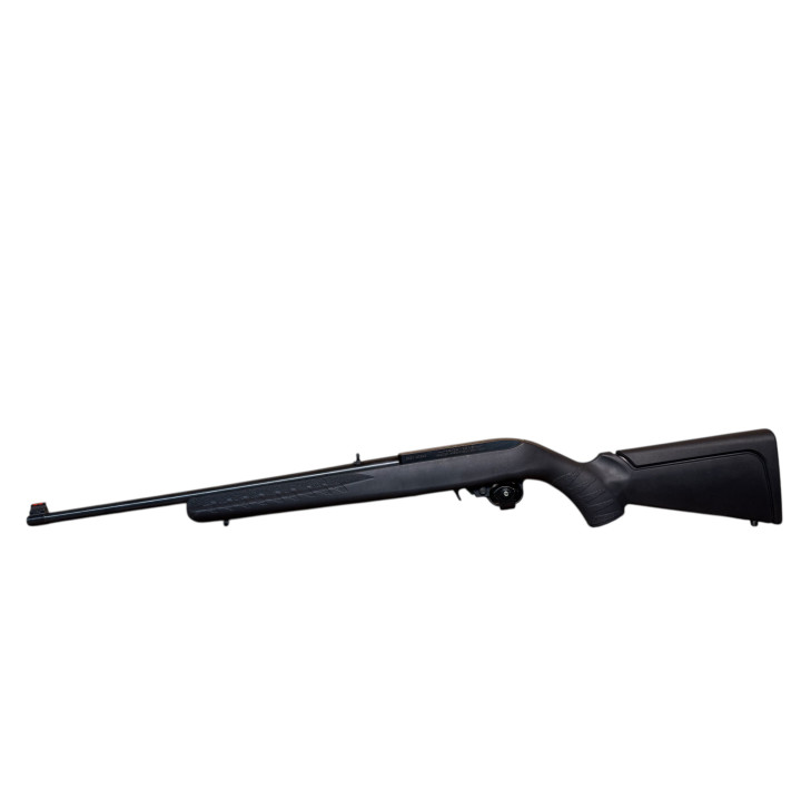 Ruger 10-22 22LR