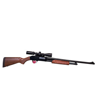 Mossberg 500 Slug Gun